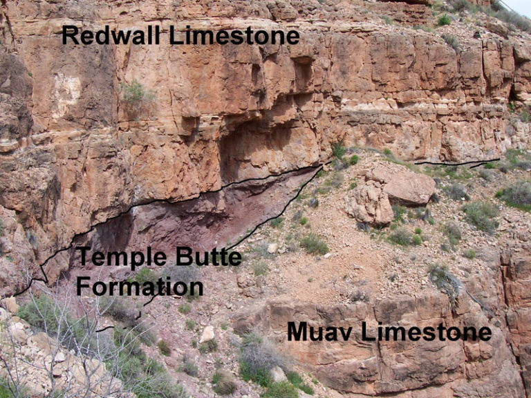 Redwall, Temple Butte and Muav formations in the Grand Canyon. An erosional surface (disconformity) exists between both the Muav Limestone and the Temple Butte formations as well as between the Temple Butte and the Redwall Limestone formations. Credit: National Park Service from: https://upload.wikimedia.org/Wikipedia/commons/e/eb/Redwall%2C_Temple_Butte_and_Muav_formations_in_Grand_Canyon.jpg United States Public Domain.