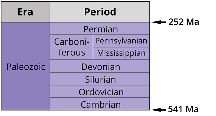 The seven periods of the Paleozoic era. Image by Jonathan R. Hendricks. Creative Commons License This work is licensed under a Creative Commons Attribution-ShareAlike 4.0 International License.
