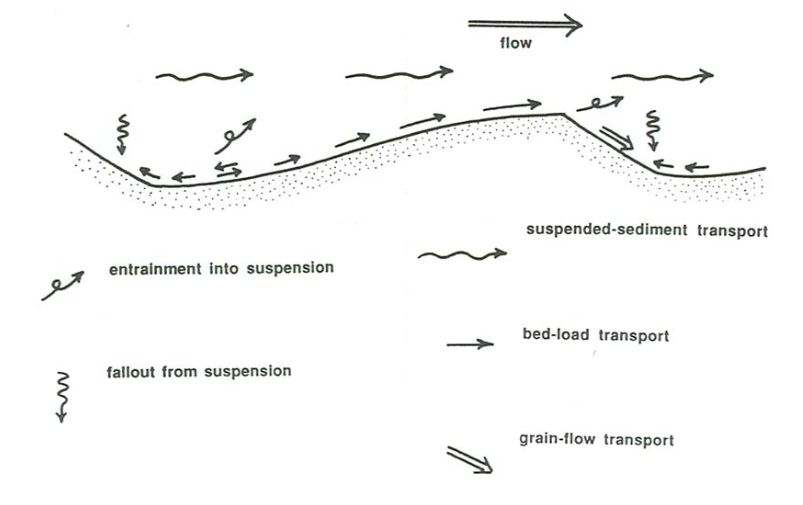 Fluid flow and grain transport sketch for a ripple, including bedload and suspension load.