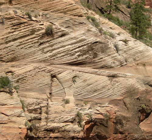 Animated GIF that shows multiple beds bearing cross-bedding in a vertical cliff of sandstone. The image cycles between a raw photograph and an annotated overlay, with each of the ~10 main beds highlighted, and the crossbeds within the beds traced out. Bedding dips gently to the right side of the screen. All the crossbeds dip moderately to the left side of the screen. The crossbeds are tangential to the main bed at the bottom, and are truncated abruptly by the overlying bed at the top.