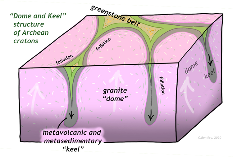A block diagram showing the structure of a typical Archean craton, such as the Pilbara. Broad round granite "domes" are shown rising vertically, while thin metavolcanic and metasedimentary "keels" sink downward between the domes. In map view, the surface outcrop pattern is round blobs of granite separated by a branching cuspate belt of metavolcanic and metasedimentary rocks.