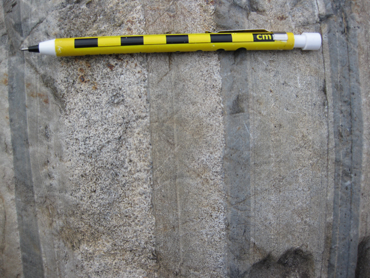 A photograph showing vertical beds of graywacke and mudrock in cross-section, with two of the beds showing a prominent grading: coarse on the right and then getting finer to the left. A pencil provides a sense of scale.