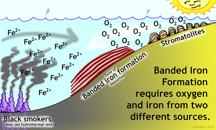 Cartoon showing that banded iron formation requires inputs of oxygen and iron from two different sources. The iron is provided by exhalations from deep sea hydrothermal vents called "black smokers," and the oxygen is a waste product of photosynthesis by microbial mats such as those that form stromatolites. Where the two dissolved constitutents meet, BIF forms.