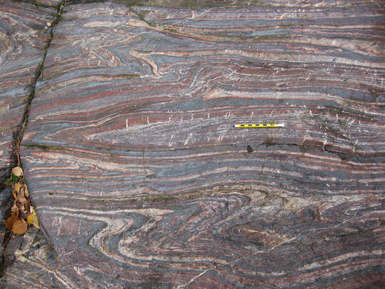 A photograph of a pavement (horzontal) outcrop of tightly folded banded iron formation, showing assymetric folding and quartz veins cutting across some beds, perpendicular to bedding. A pencil provides a sense of scale.