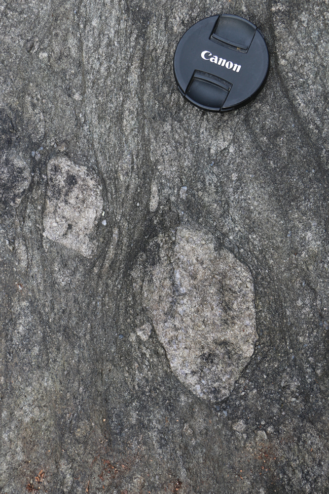 Photograph showing two outsized granite clasts in metadiamictite. A lens cap provides a sense of scale.