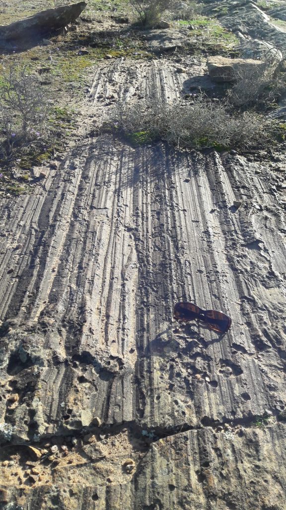Photograph showing a series of ancient glacial striations running across a flat outcrop of rock toward the perspective of the camera. A pair of sunglasses serves as a sense of scale.