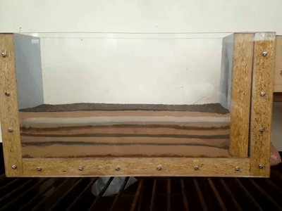 Animated GIF showing a sandbox deformation experiment. The view is a side view of a "fishtank" like apparatus with a transparent glass side. Inside the box are 10 layers of different-colored sand. The right wall is pushed inward (toward the left), compressing the layers. The layers first buckle adjacent to the wall, arching up and breaking, forming a thrust fault. Older, deeper sand layers climb up and to the left on top of younger, shallower layers. Then another fold/fault develops to the left of that, repeating the motion of the first. Finally, a third fold/fault pair develops left of the first too. The motion of the moving wall stops in the middle of the box.
