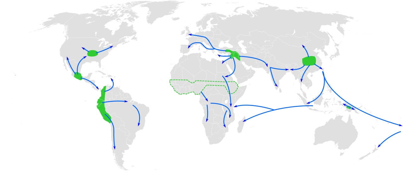 Global centers of origin for agriculture and its spread in prehistory (Source: https://en.Wikipedia.org/wiki/Neolithic_Revolution#:~:text=The%20Neolithic%20Revolution%2C%20or%20(First,an%20increasingly%20larger%20population%20possible.)