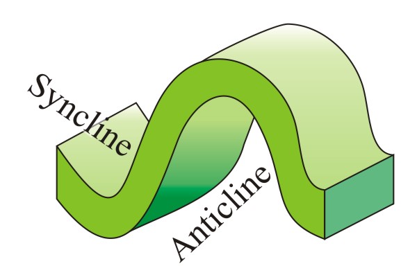 Cartoon showing the relationship between an adjacent syncline and anticline: they share a limb.
