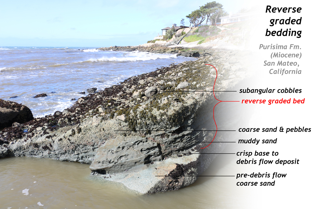 Annotated photograph showing an outcrop of sedimentary rock along the coast of California, showing reverse graded bedding. The outcrop is of Miocene-aged Purisima Formation, near San Mateo, California. At the bottom of the outcrop is pre-debris flow coarse sand. Then there is a crisp transition to a 15 cm thickness of muddy sand, topped with coarse sand and pebbles for 20 cm, topped with a 50 cm thick portion of subangular cobbles. The various units are labeled. The Pacific Ocean breaks in curling waves in the background, and a house and some trees are on a cliff.