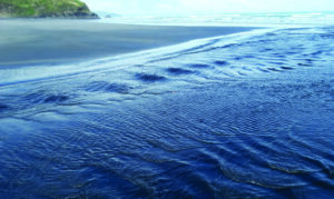 Standing surface waves on a small stream draining a beach
