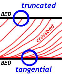 A sketch showing how cross-beds approach parallel with the main bed's bottom, but at the top of the bed, erosion has removed the tangential portion, resulting in a truncated contact. Another way of putting this is that the angle between the crossbed and the mainbed is typically small at the bottom (close to parallel) and larger (around 32 degrees or so in dry sand) at the top.