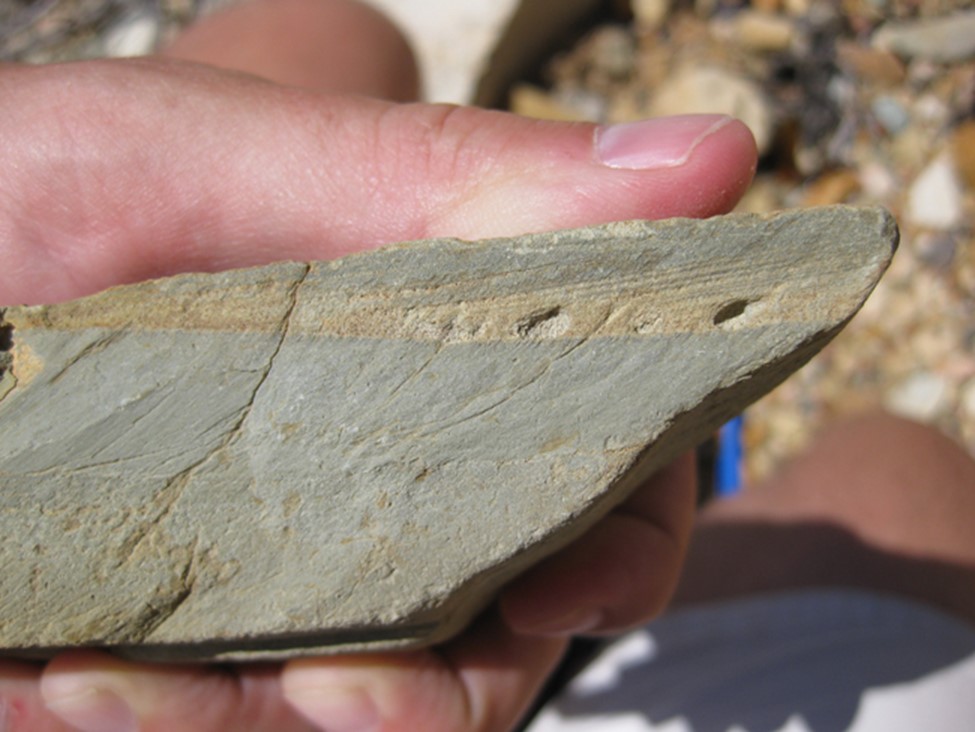 Photograph showing a human hand holding a chunk of rock, shown on a surface that is cross-sectional to bedding. The lower part of the sample shows graded bedding. Above a crisp contact, the upper part shows cross-bedding dipping shallowly to the left. So "up" is up in this sample, and the turbidity current was traveling from right to left.