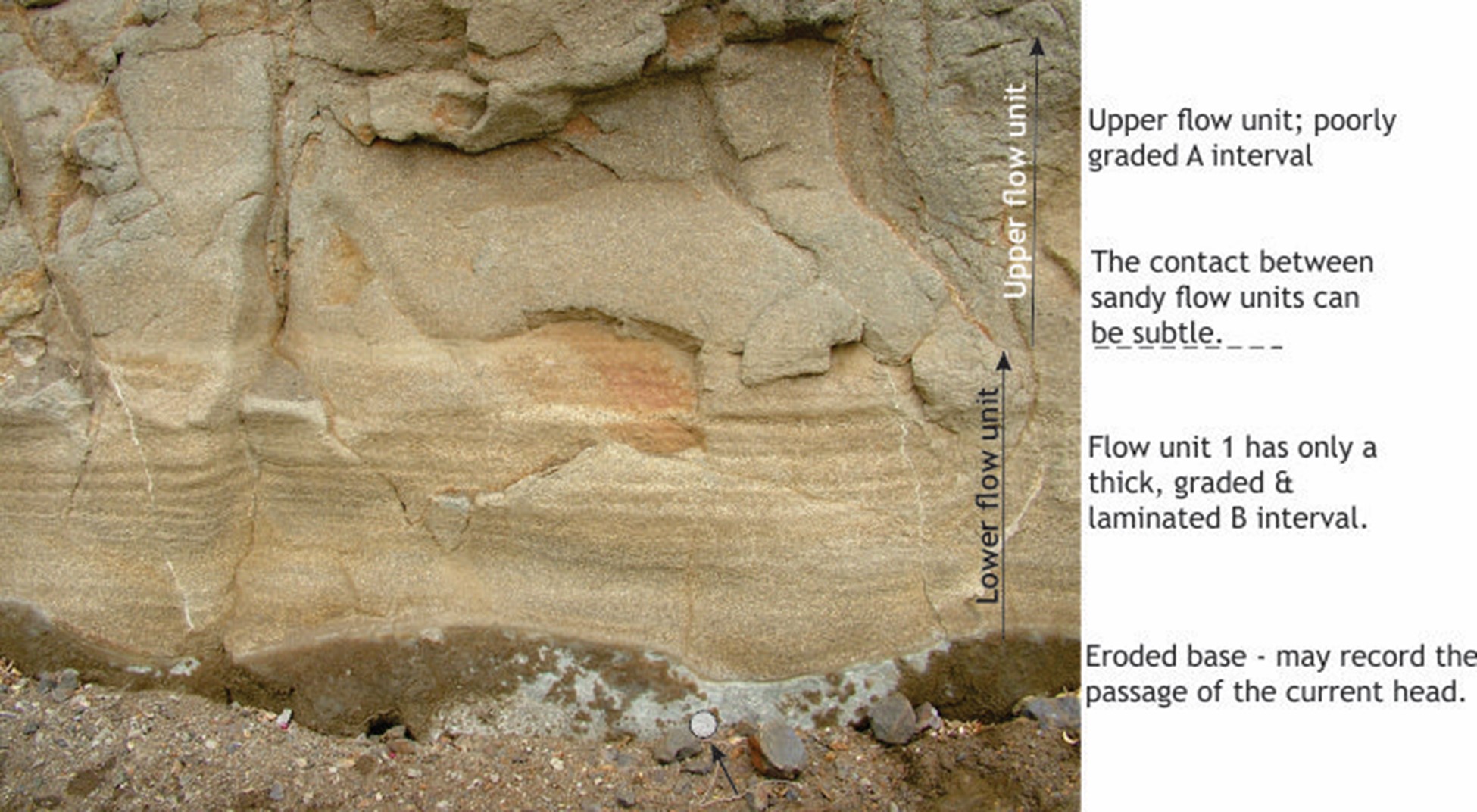 Coarse-grained sandy turbidites with A and B intervals