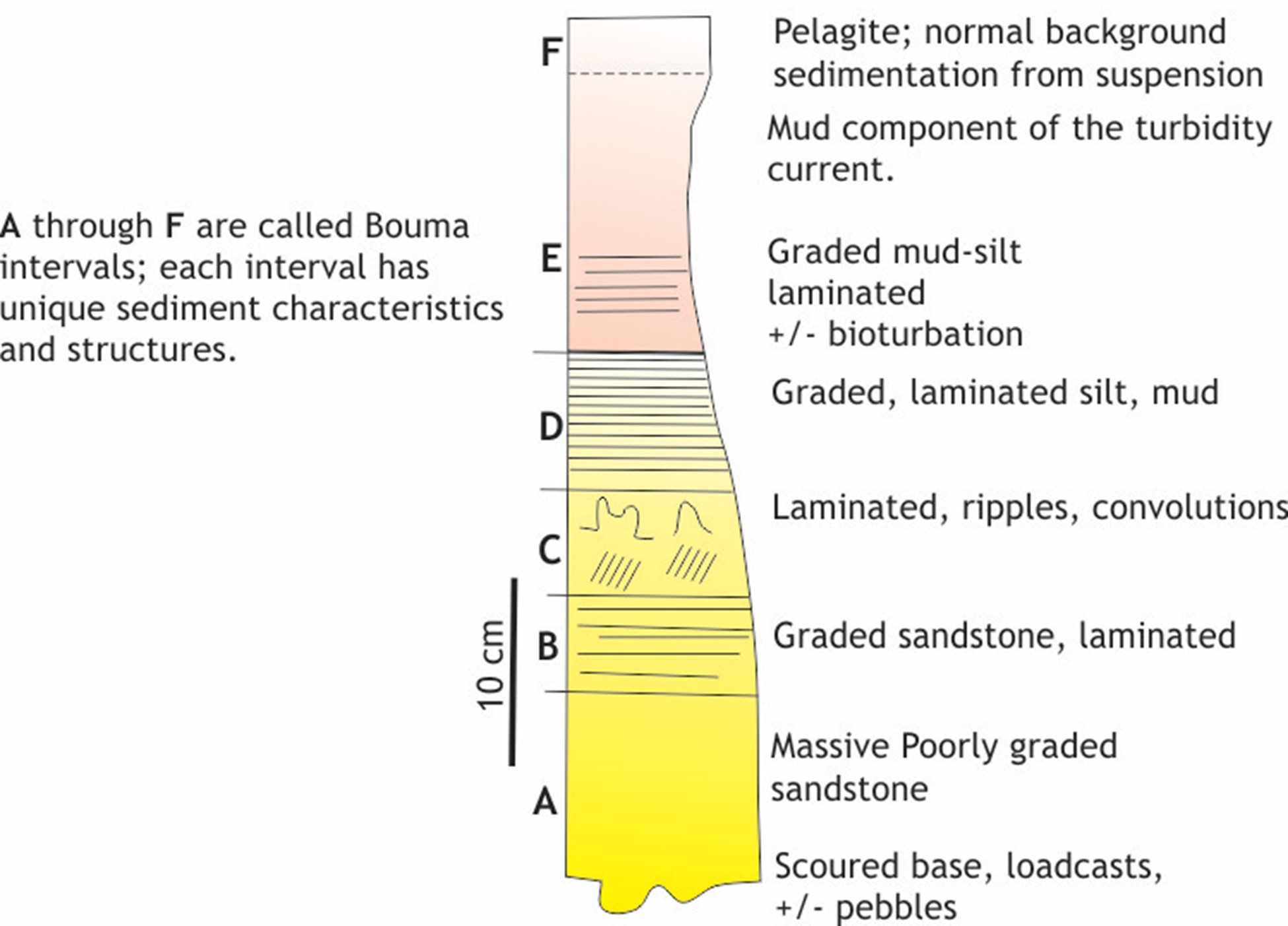 Diagramatic illustration of the iconic Bouma Sequence for turbidites