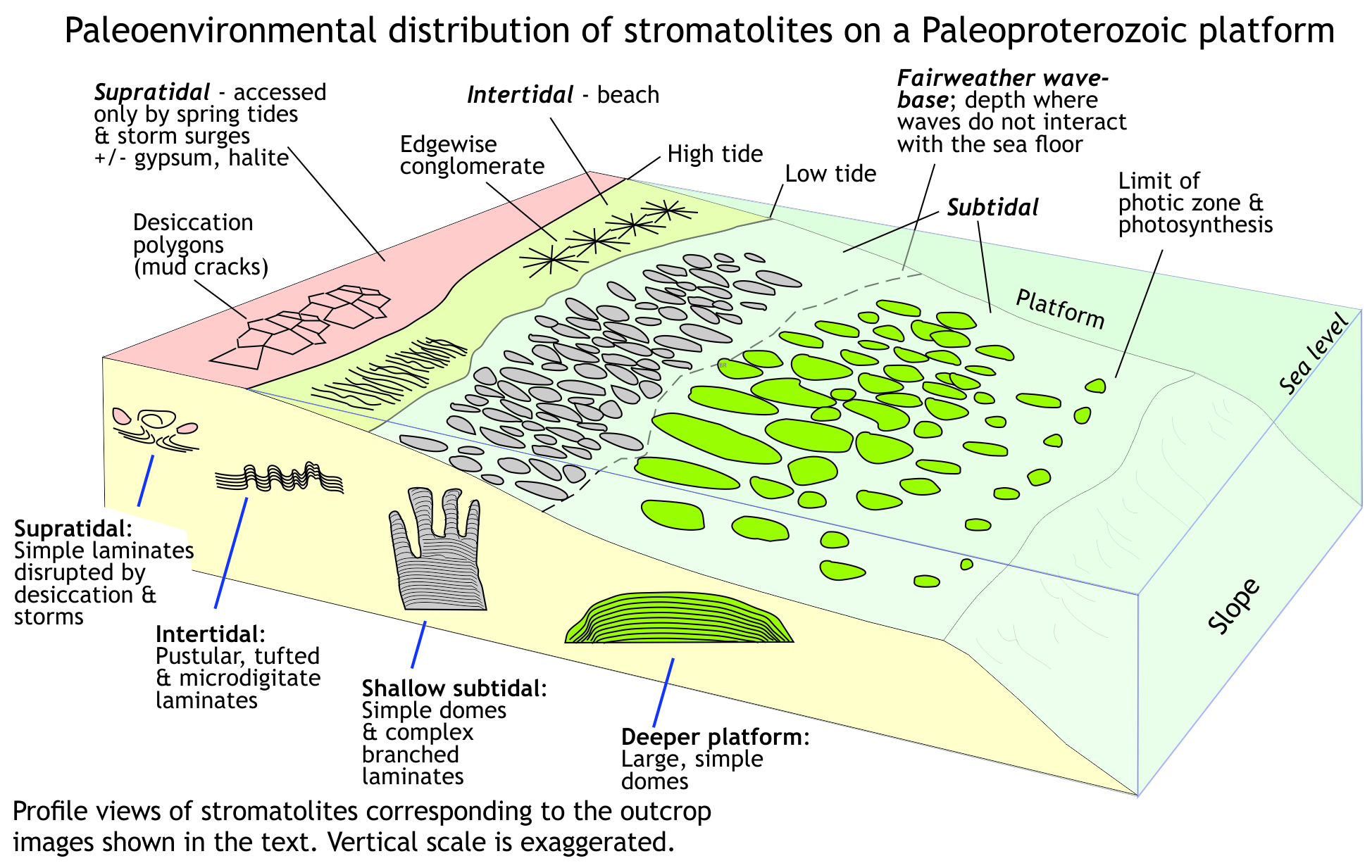 Interpreted distribution of stromatolites across a Paleoproterozoic carbonate platform