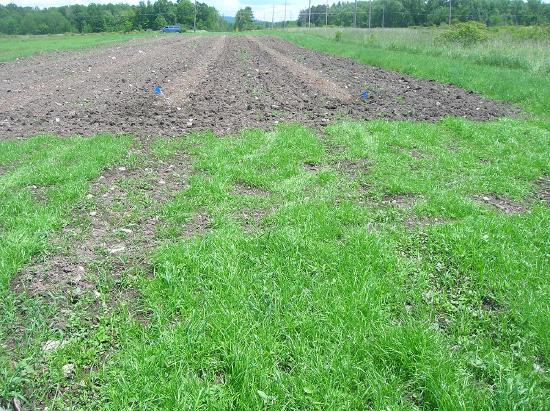subsoil restoration after topsoil installation