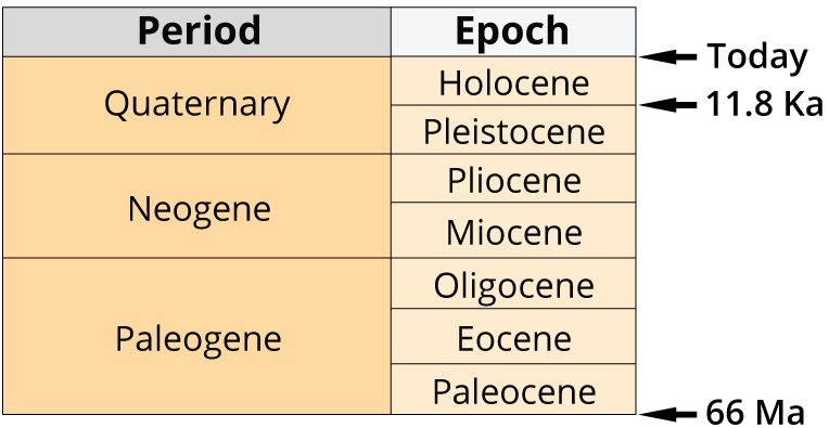 Epochs and Periods of the Cenozoic era as described in the text.