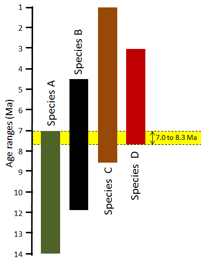 Four different species living at similar times are used to bracket the age of a rock layer.