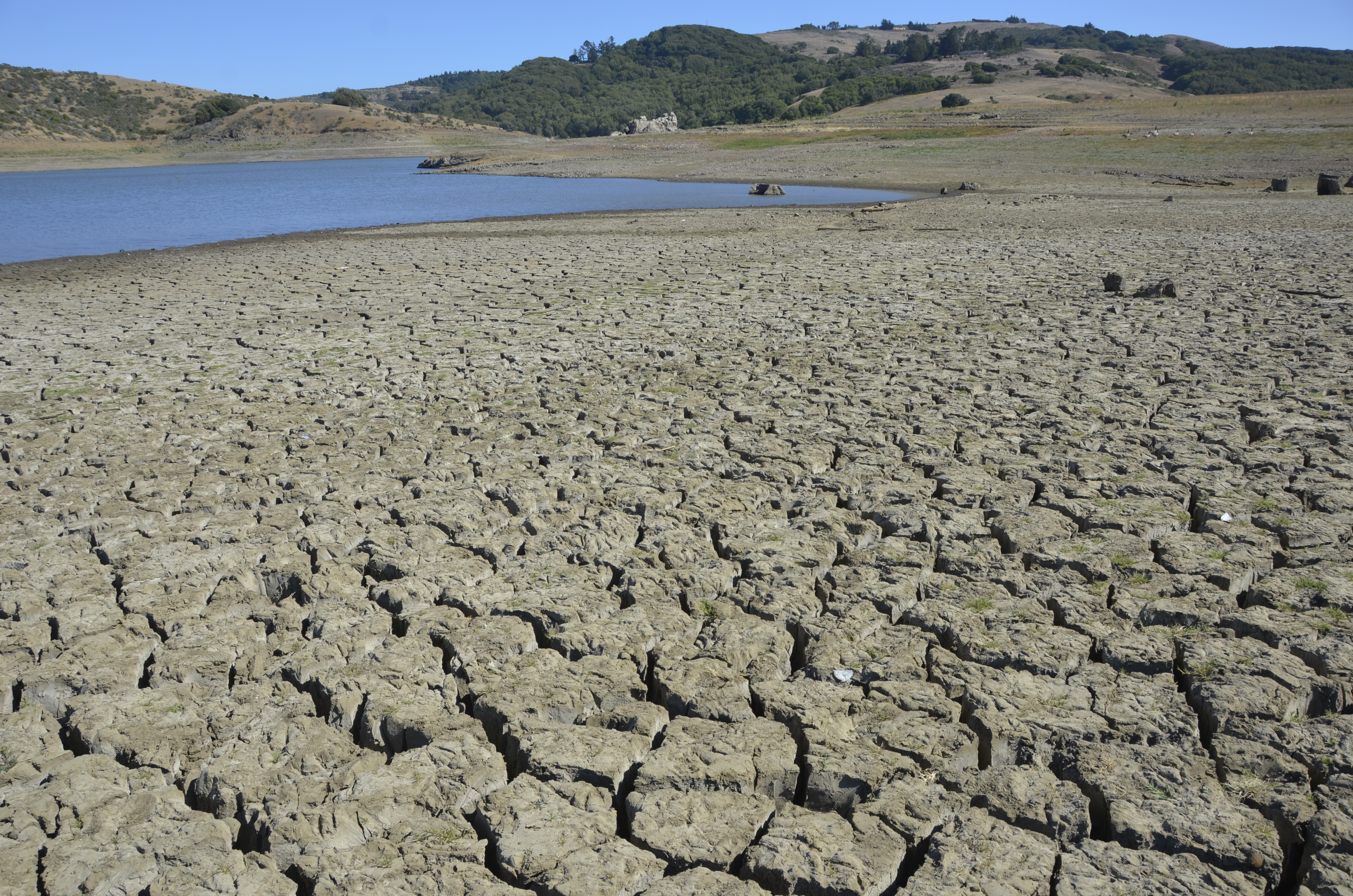 Polygonal mud cracks on the floor of a nearly empty reservoir; access a description in the caption.