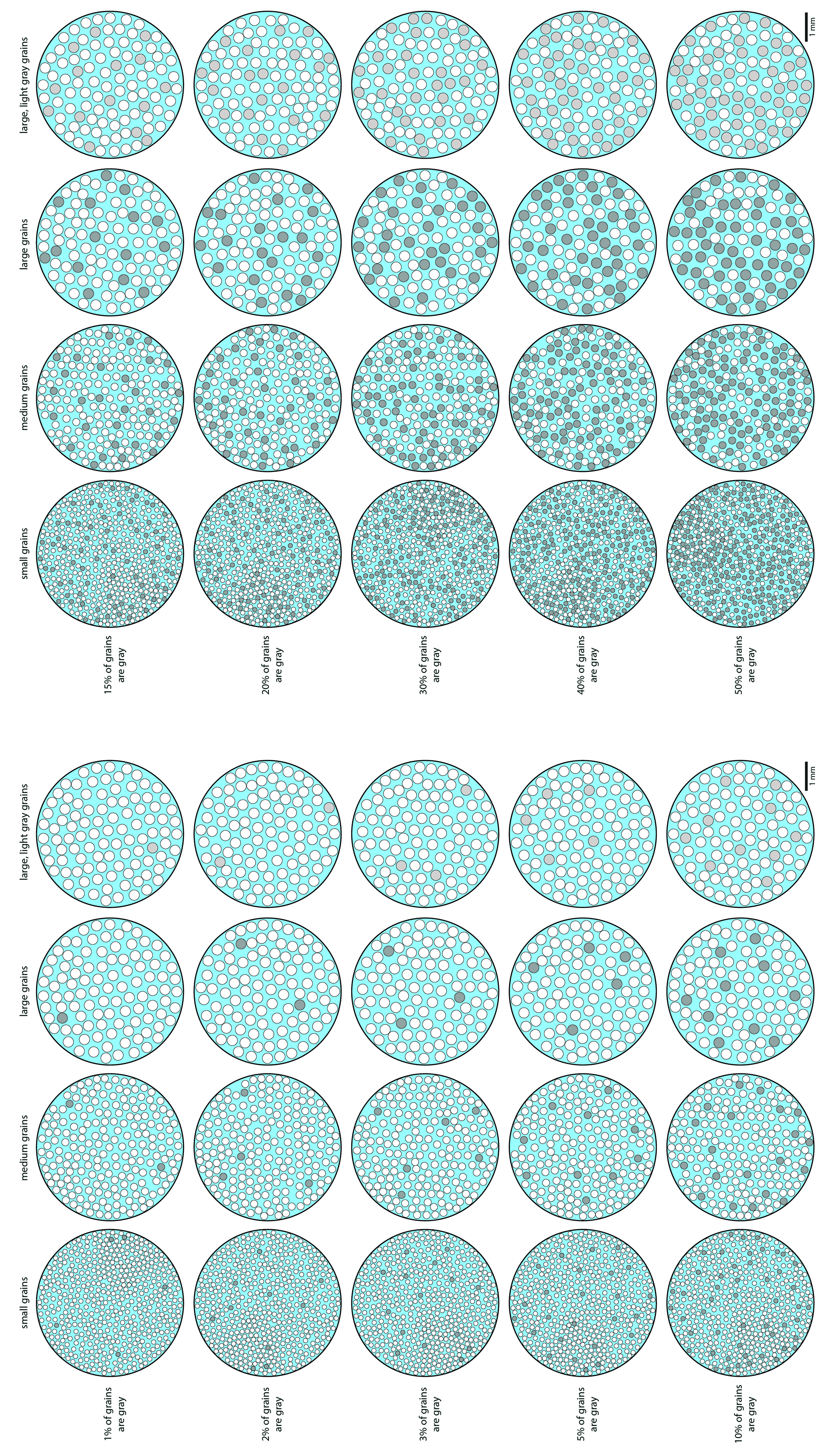 Percent Abundance.jpg