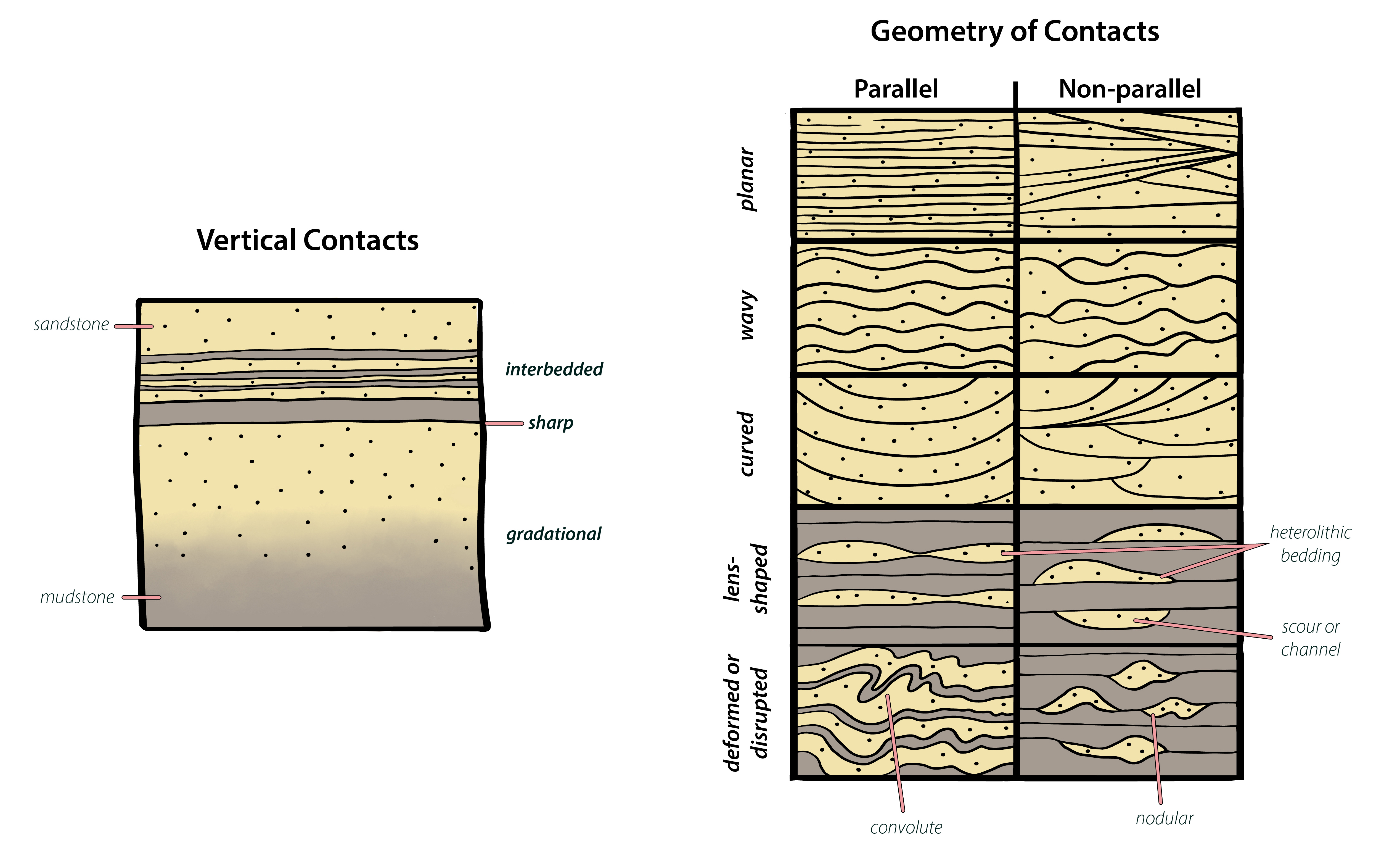 4.1: Stratification - Geosciences LibreTexts