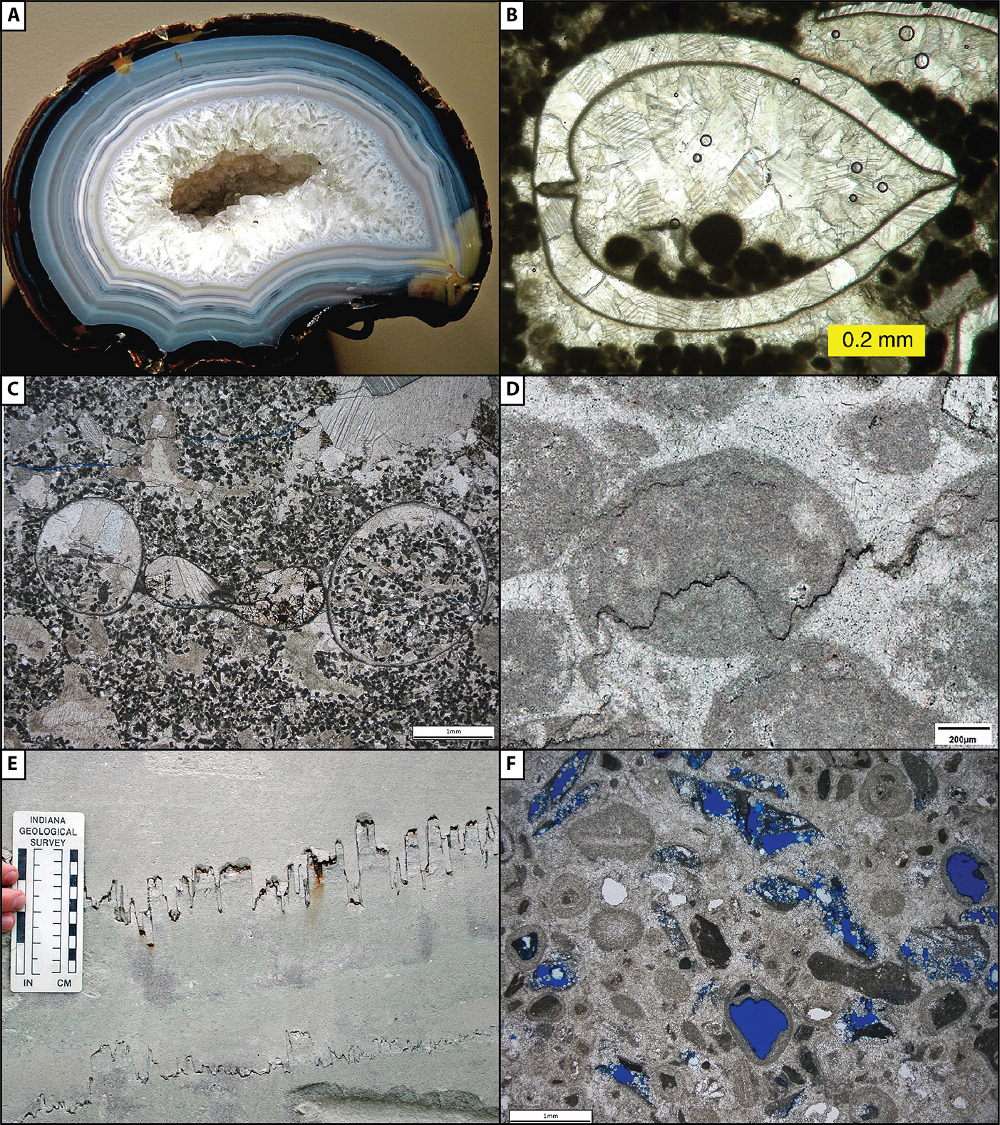 Diagenetic Features 3.jpg