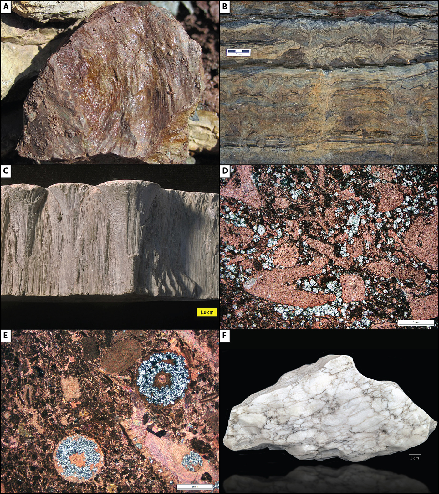 Diagenetic Features 4.jpg