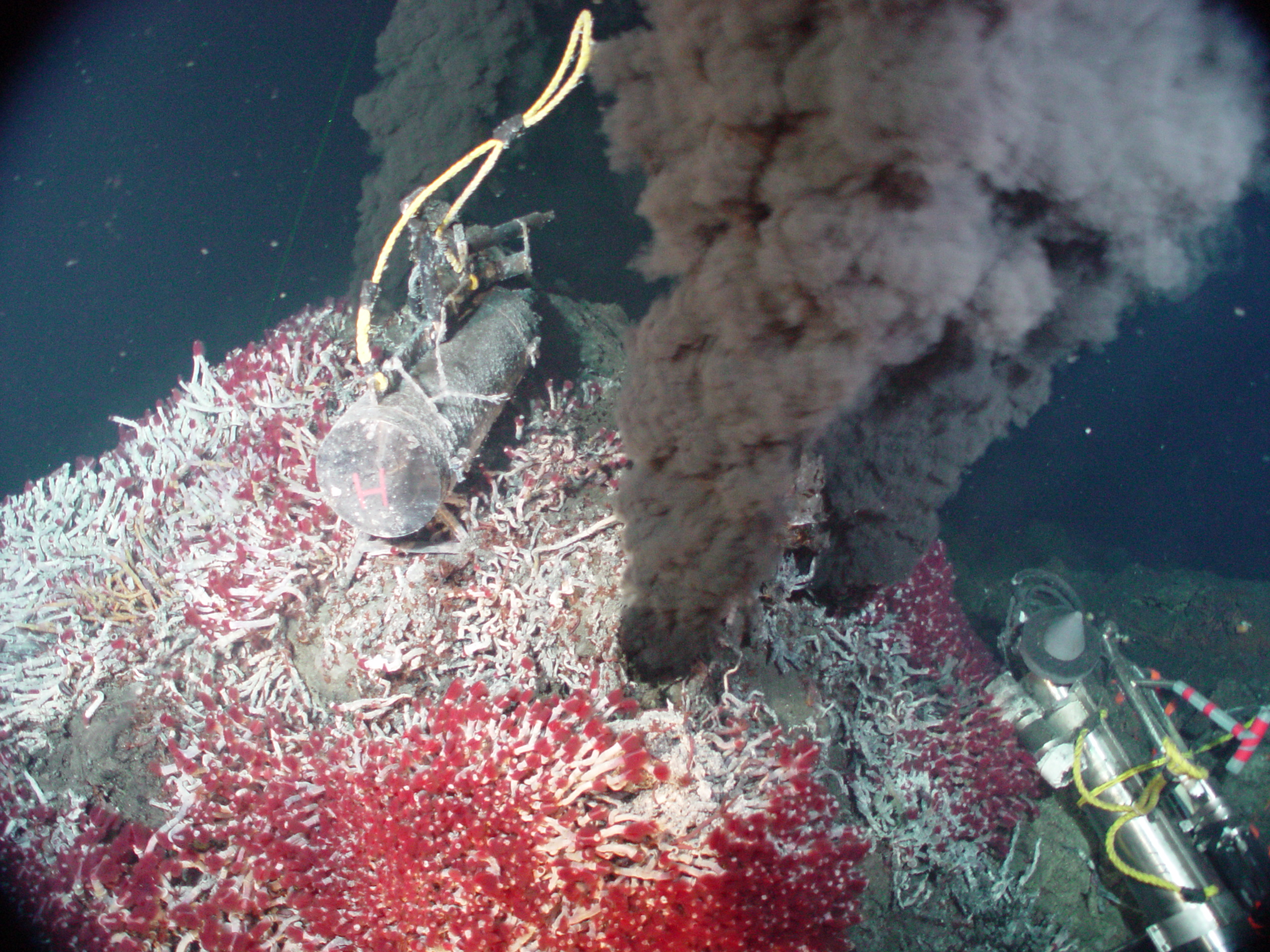 Black smoke rises from sea floor vents surrounded by tube worms.