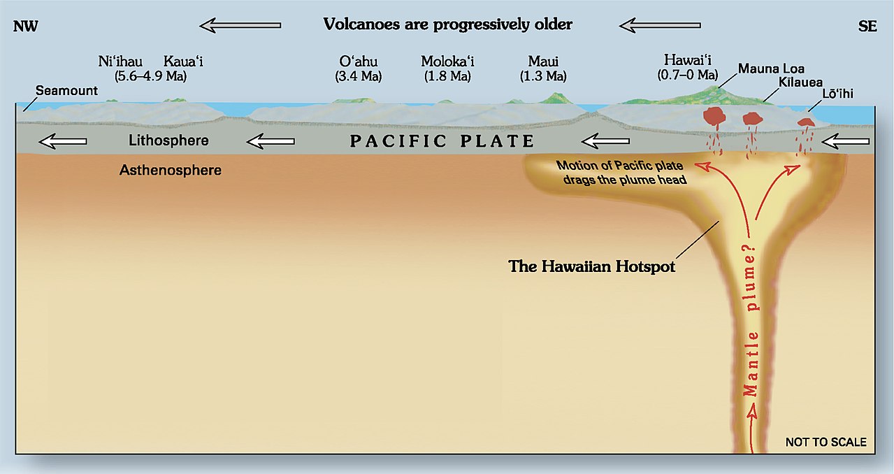 The mantle plume is on the right, under the island of Hawaii. The islands (Maui, Moloka'i, O'ahu, Kaua'i, Ni'ihau) get older to the left.