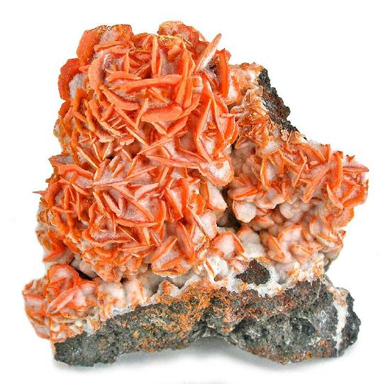 Flat orange crystals of wulfenite coated with white calcite