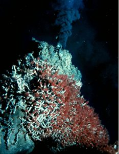 Black smoke rising from a mound of tube worms on the seafloor. There is a large build up of minerals around the vent.