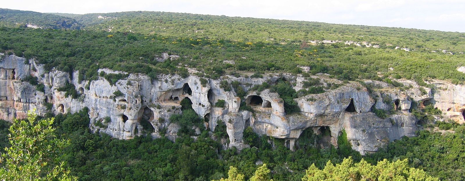 The rocks in this area are full of holes, formed from karst dissolution.