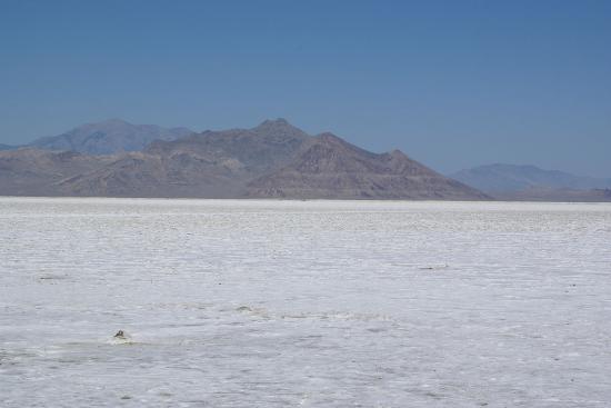 The ground is white and flat for a long distance.