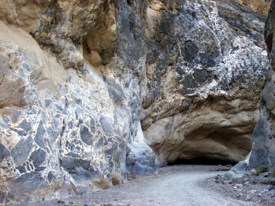 The gray rock is broken and angular within the larger rock.