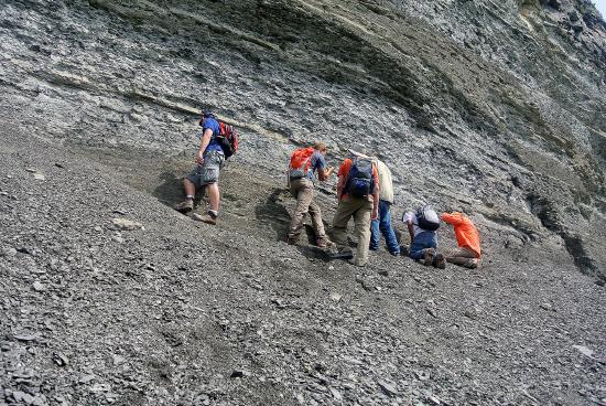 The rock breaks apart in very thin layers.