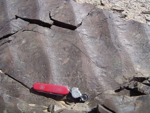 This brown rock has symmetry in its ripples.