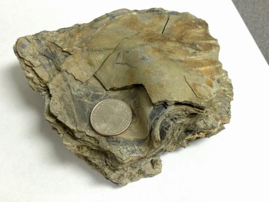 6.2: Metamorphic Textures - Geosciences LibreTexts