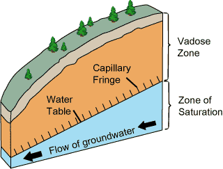 Cross section of a hill with the water table and zone of saturation under the vadose zone.