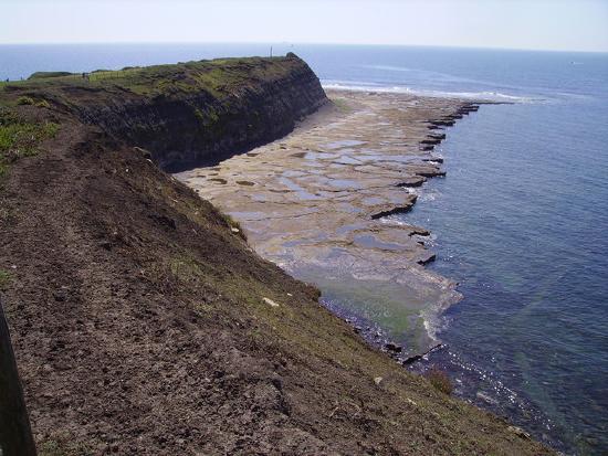 Broad, flat platform at the base of a sea cliff.