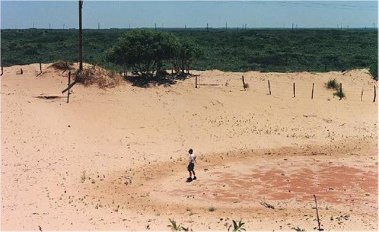 Photo of land level lowered by wind causing a blowout.