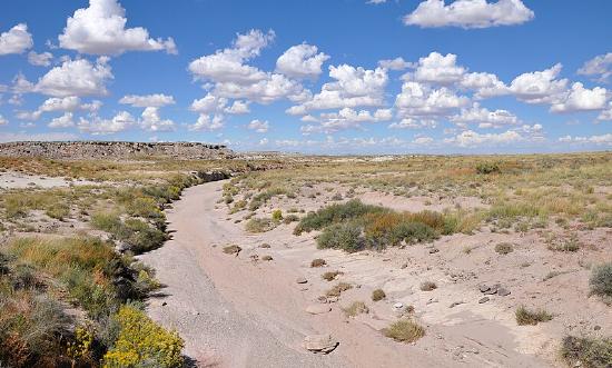 Photo of dry wash that carries water only after rains.