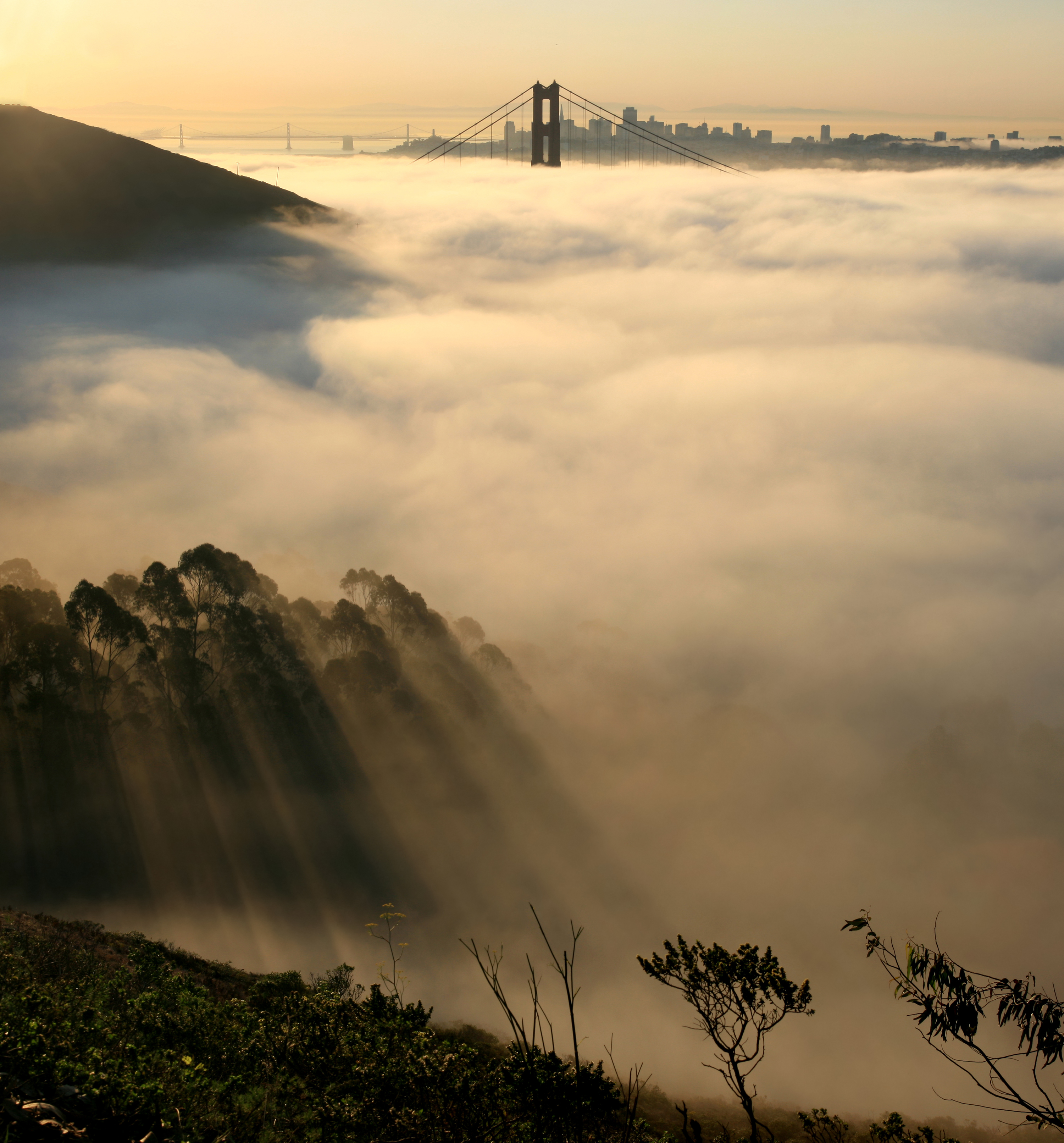 A layer of fog covers the ground in San Francisco. The top of the Golden Gate Bridge is seen above the fog.