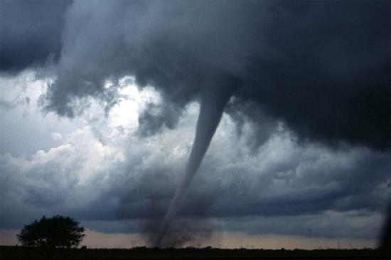 Tornadoes are shaped like a funnel, with the tail end touching the Earth.