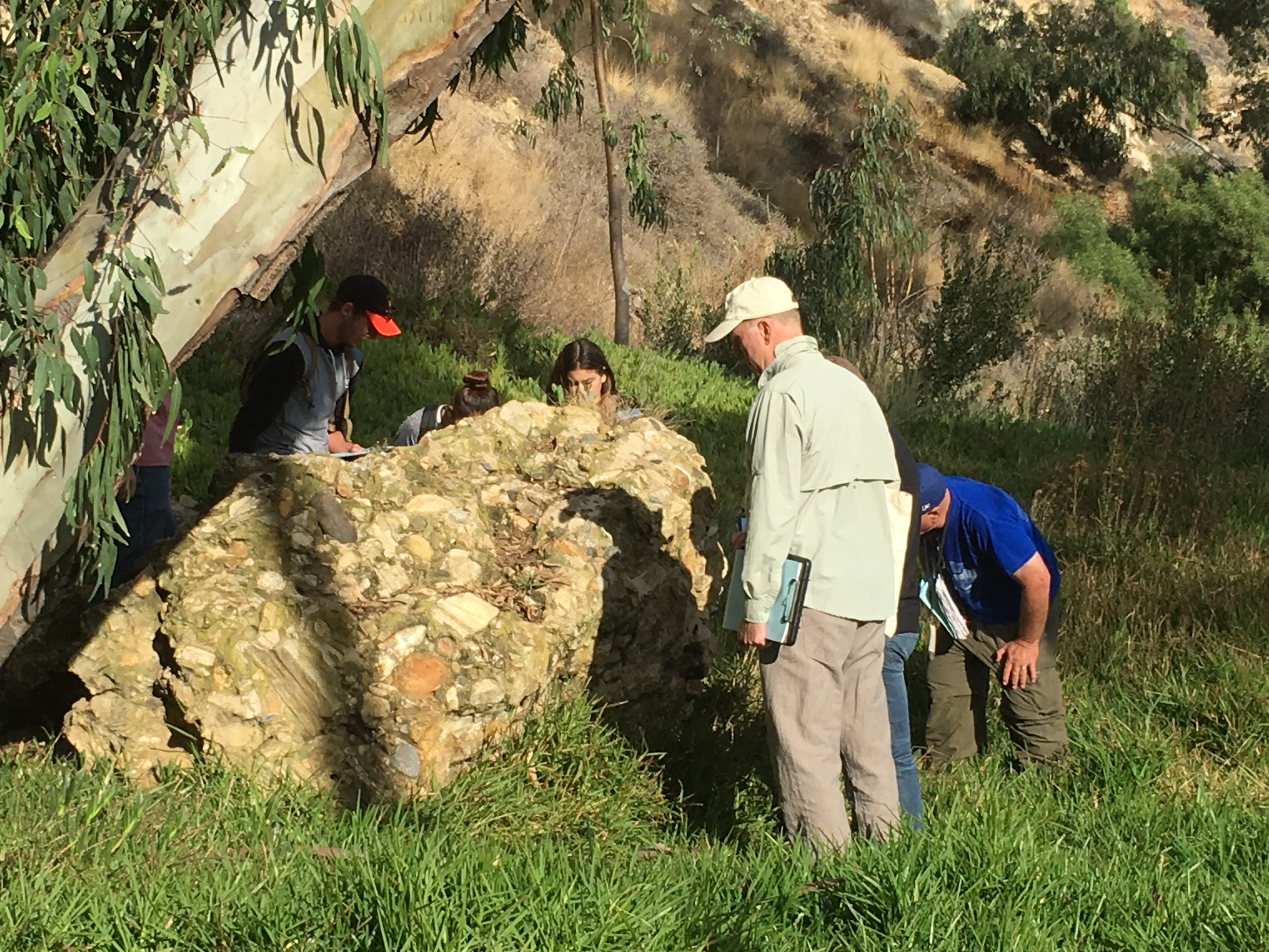 A large boulder of conglomerate being examined by geology students. 