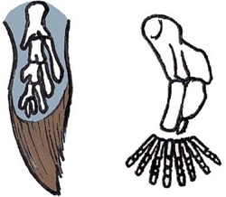 mindtouch.page#thumbnail