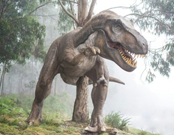 mindtouch.page#thumbnail