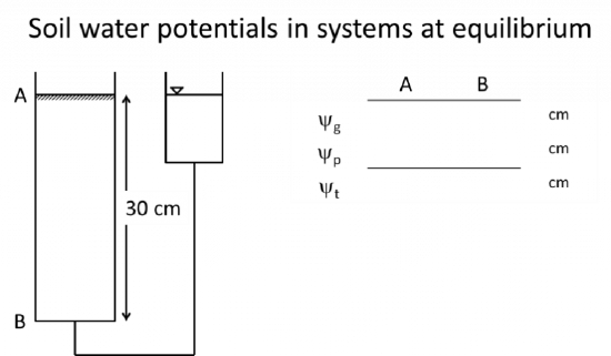 screenshot from soil water