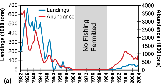 Line graph of landings and abundance of California sardine, both of which decreased from the 1930s to the 1960s, with a "No Fishing Permitted" section shaded from 1965 to 1985