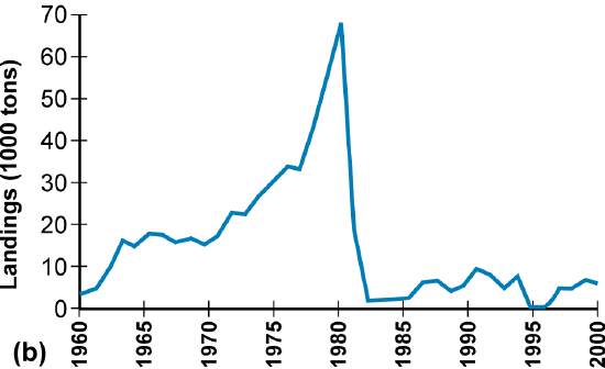 Line graph of Bering Sea red king crab landings from 1960 to 2000, with a prominent peak in 1980 followed by a sharp decrease.